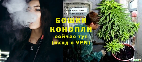 бошки Алзамай